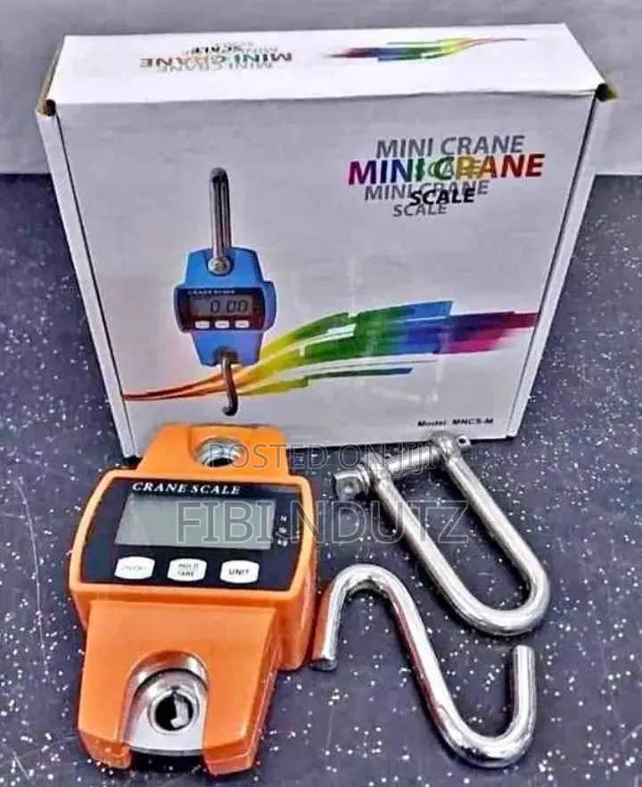 Mini Crane Scale of 300kg/Mini Crane Scale