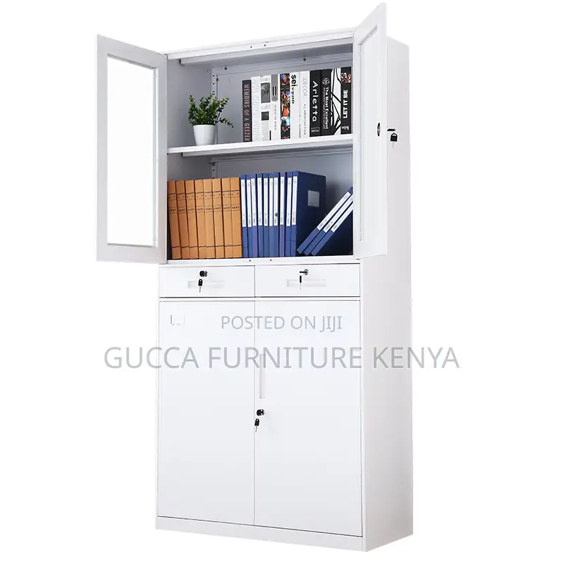 Modern 2-Swing Door File Storage Cabinet