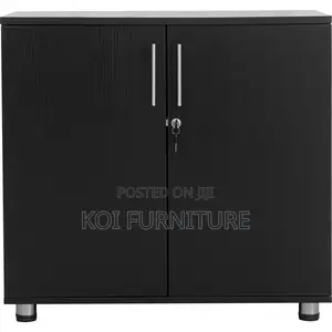 Office Cabinet; Two Doors Modern Home Office Storage Cabinets