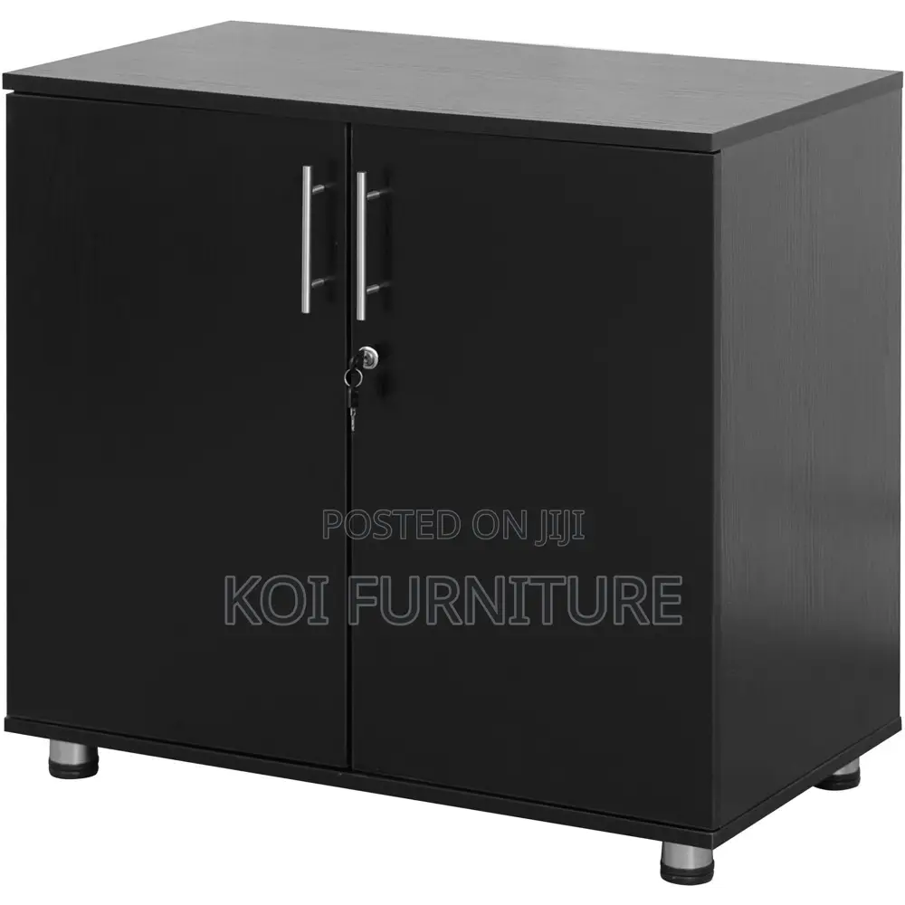 Office Cabinet; Two Doors Modern Home Office Storage Cabinets