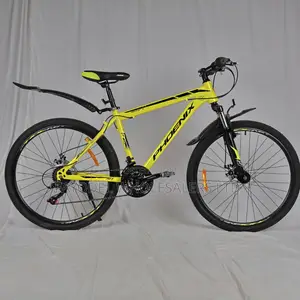Teens and Adult Phoenix MTB Size 26