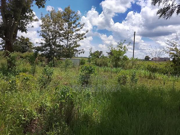 Land Property - main view