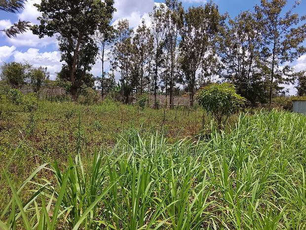 Land Property - thumbnail 2
