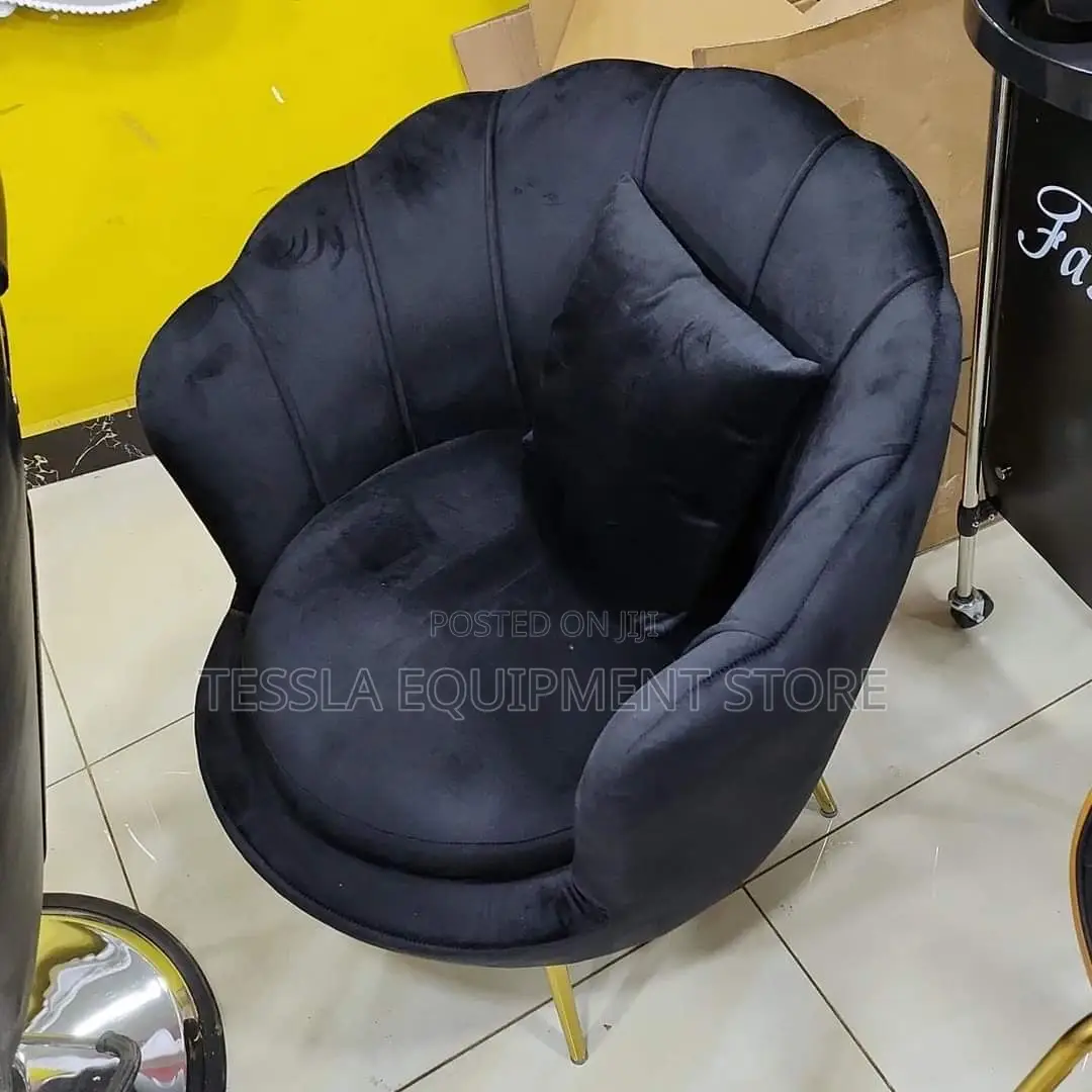 Spa/Salon Chair