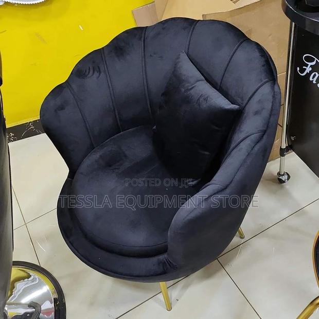 Spa/Salon Chair