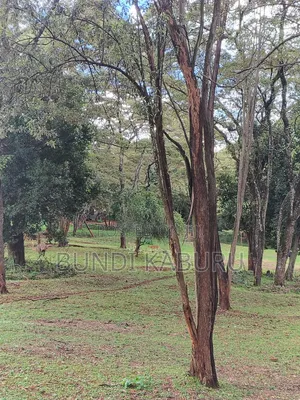 Looking for Land in Loitoktok With Mt. Kilimanjaro View