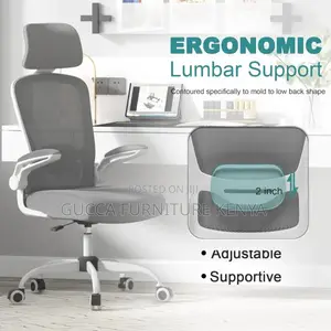 White Ergonomic Seat With Lumbar Support