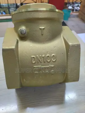 Non Return Valve