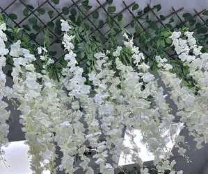 Hanging Vines Wisteria