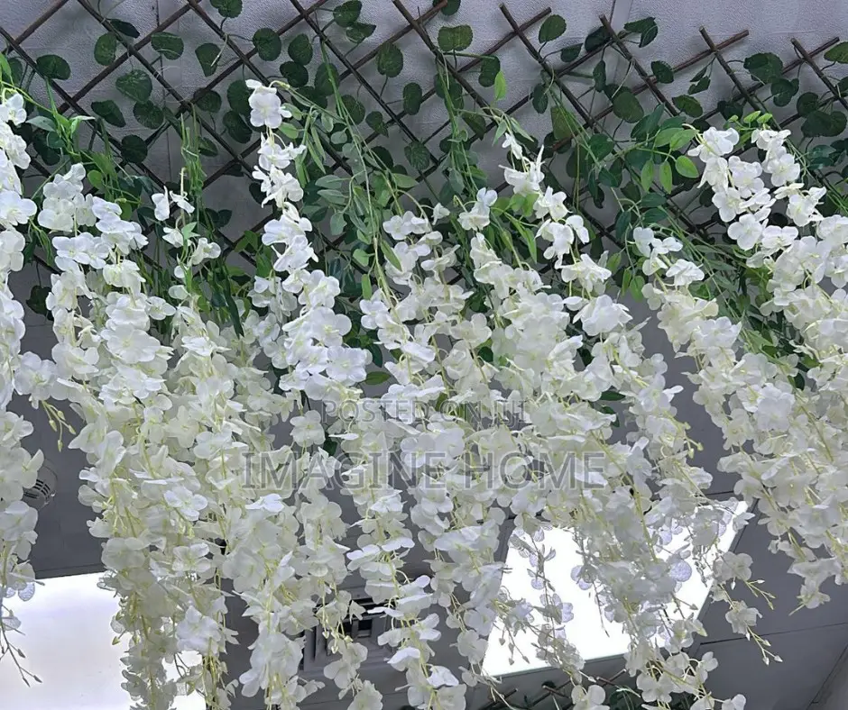 Hanging Vines Wisteria