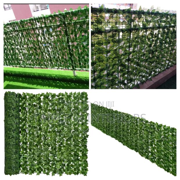 Garden Compound Privacy Fence