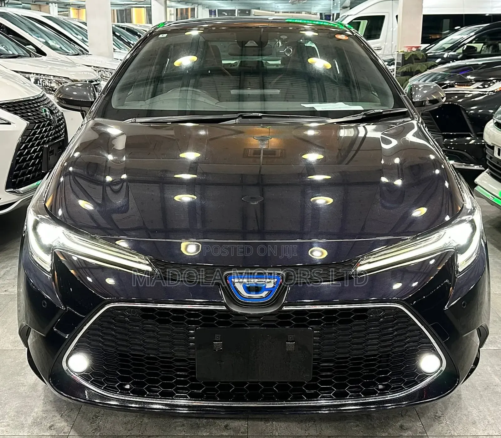Toyota Corolla Hybrid LE AWD 2023 Black