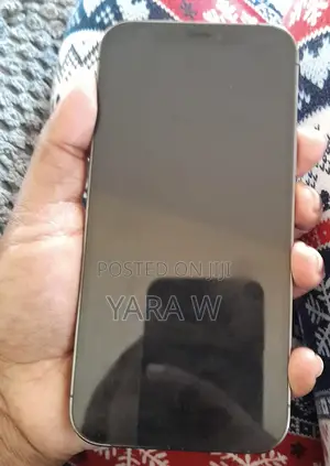 Apple iPhone 12 Pro 256 GB Gray