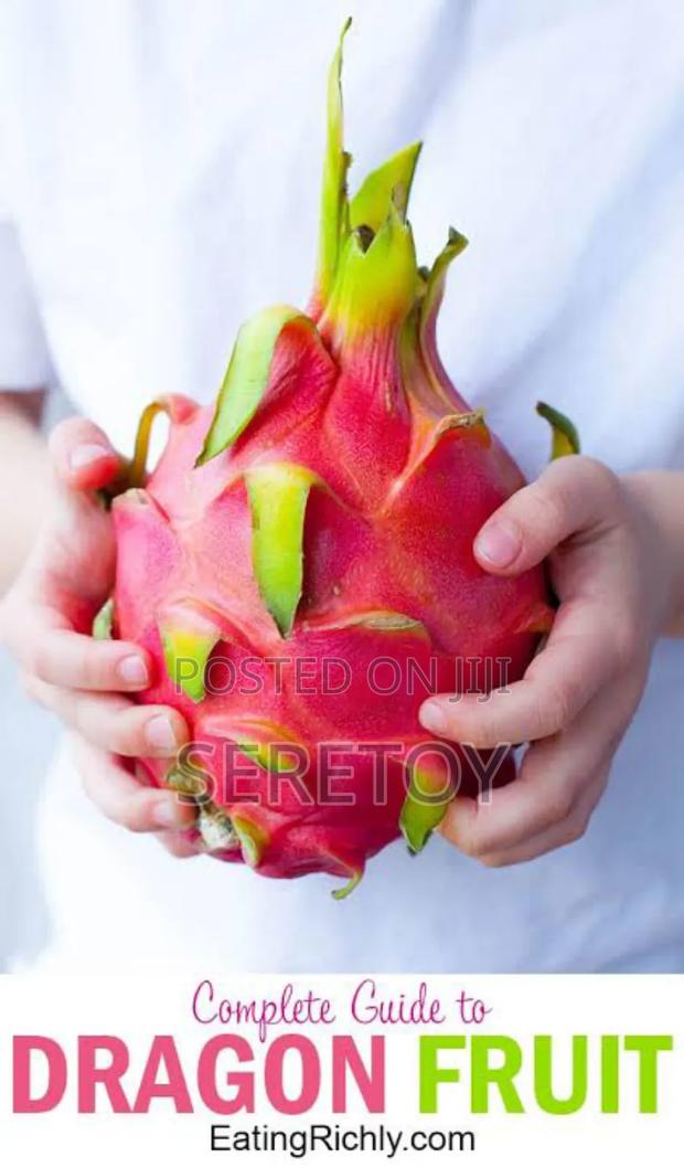 Dragon Fruit