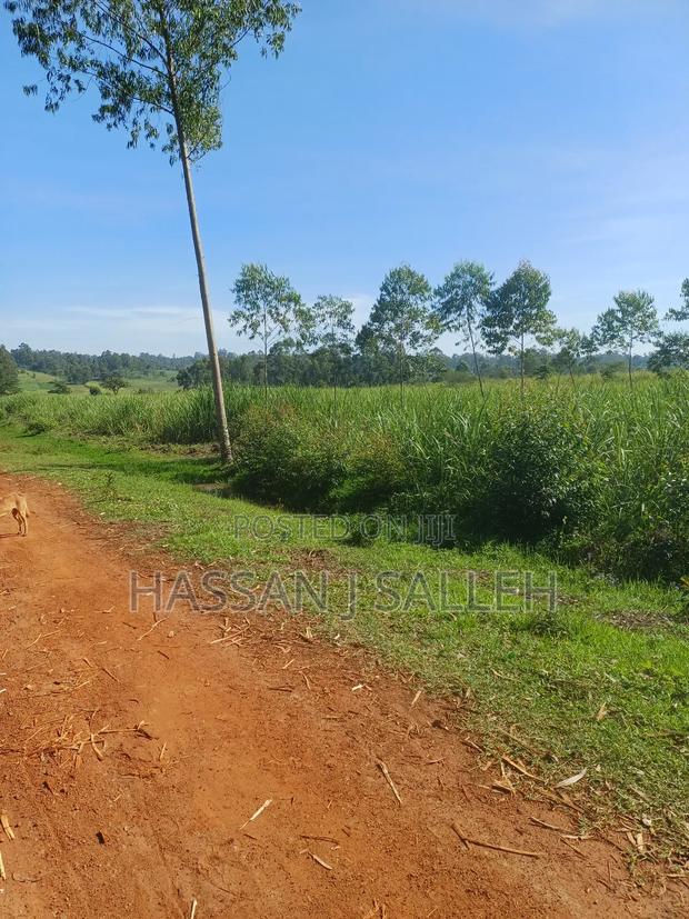 1 Land 4 Sale