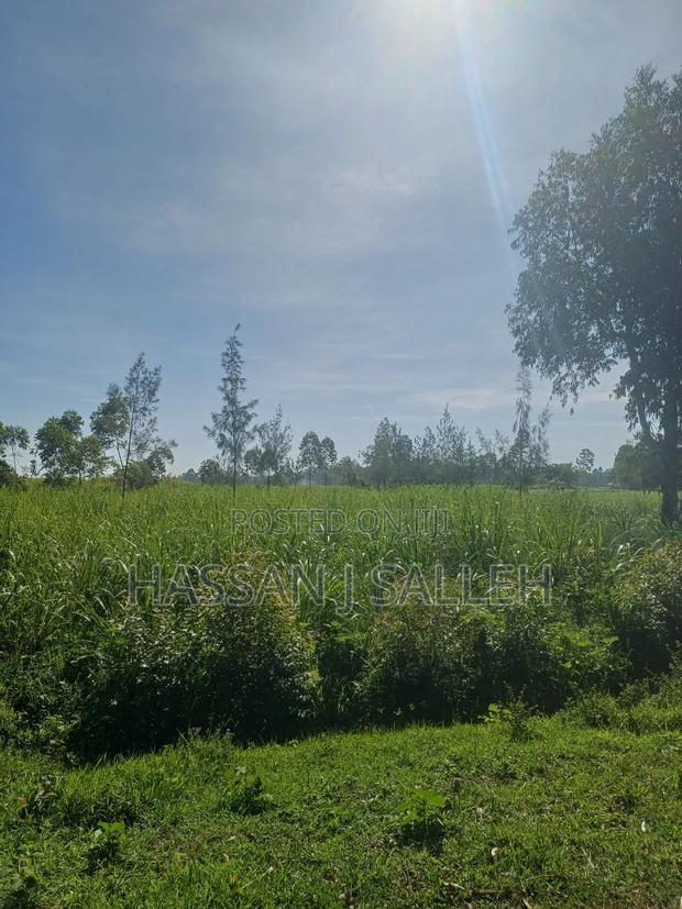 1 Land 4 Sale - thumbnail 2