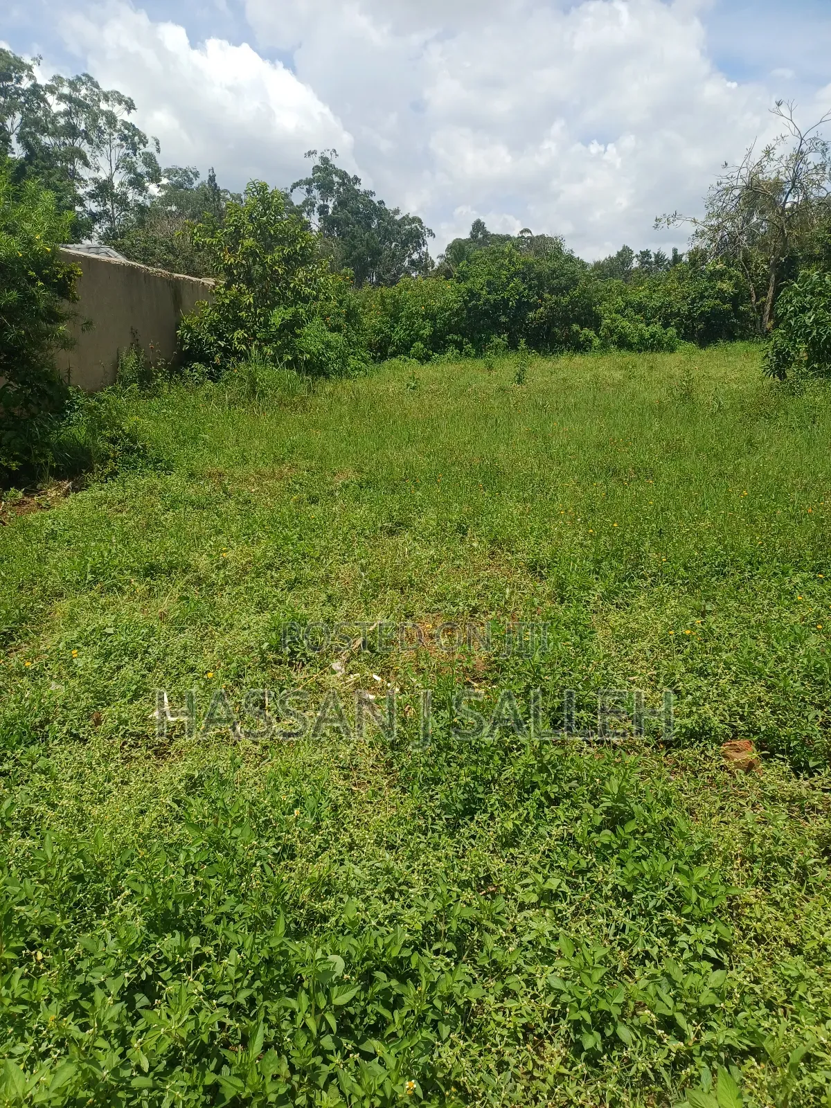 Plot 4 Sale at Mumias Lumino
