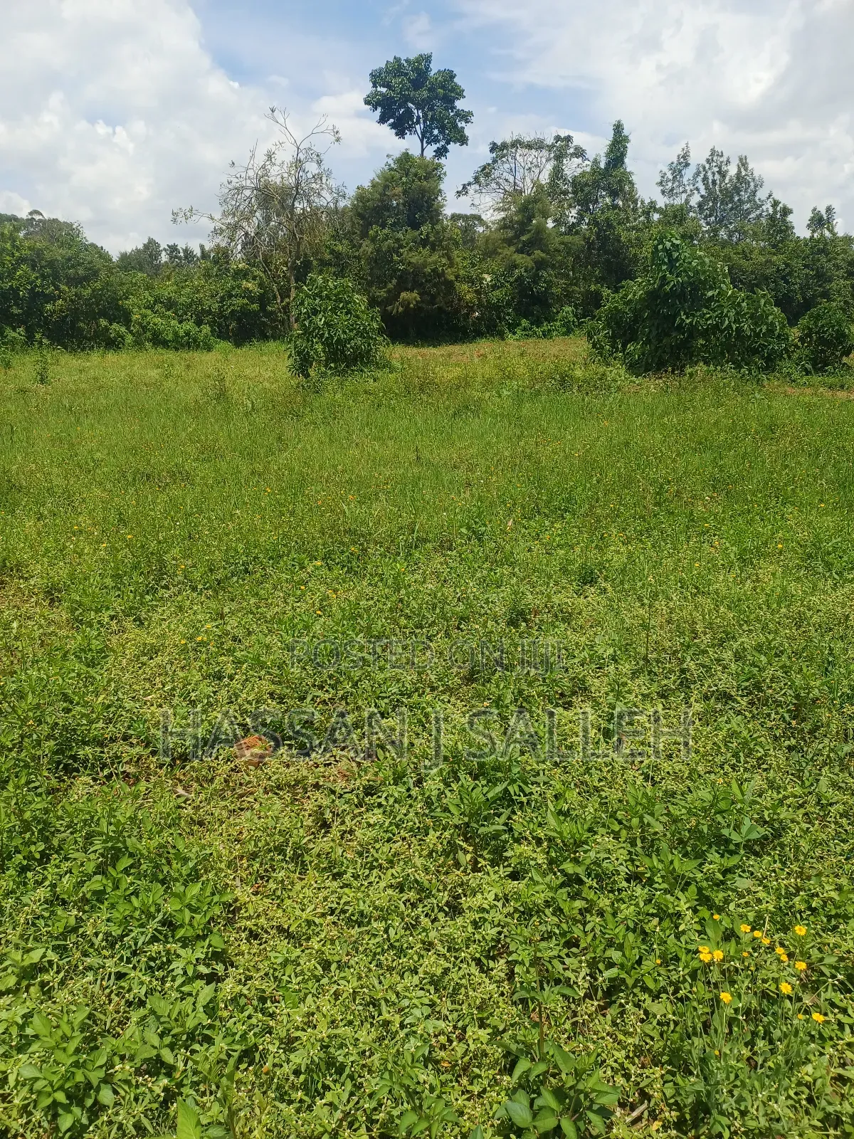 Plot 4 Sale at Mumias Lumino