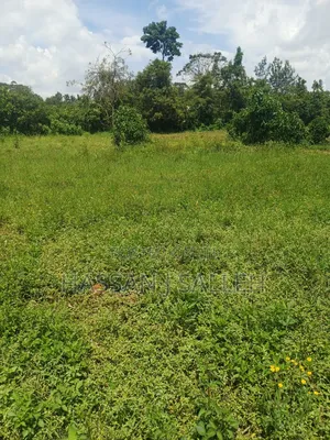 Plot 4 Sale at Mumias Lumino