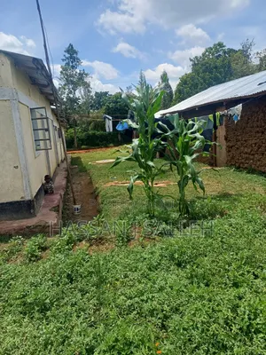 Plot 4 Sale at Mumias Lumino