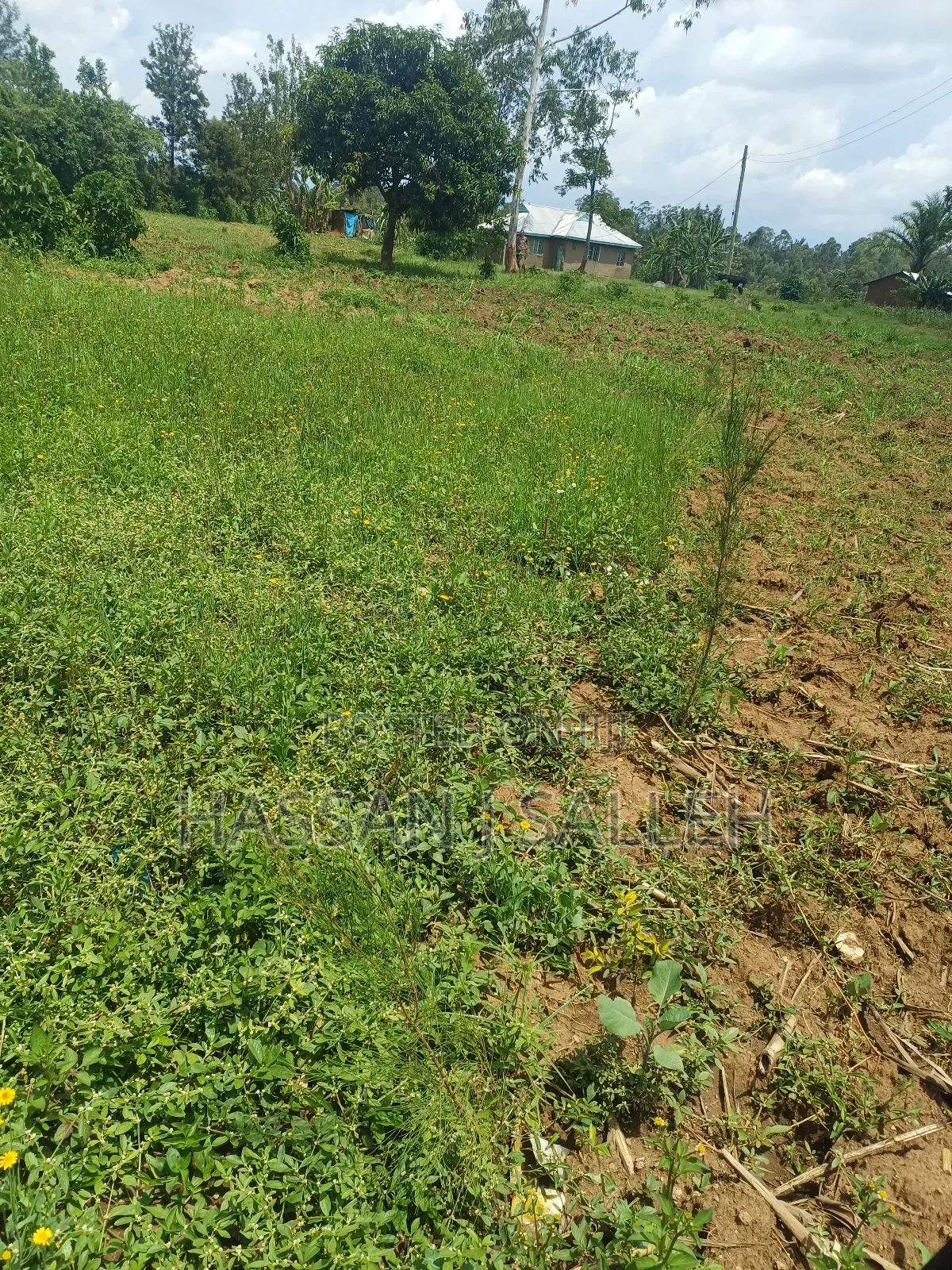 Plot 4 Sale at Mumias Lumino