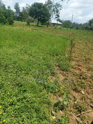 Plot 4 Sale at Mumias Lumino