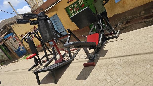 Pivot Leg Press + Free Bars+ Free Weights