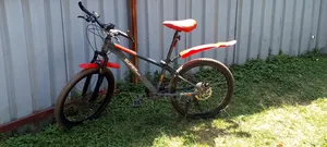Mountain Biking