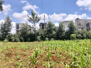 Kirigiti Residential Plots for Sale