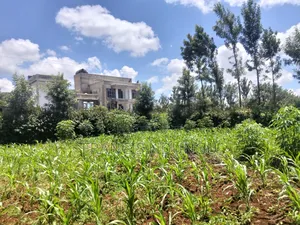 Kirigiti Residential Plots for Sale