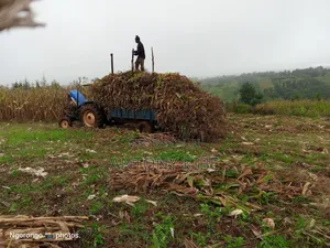 Clean Land Has House Which in Good Condition Fertil Land