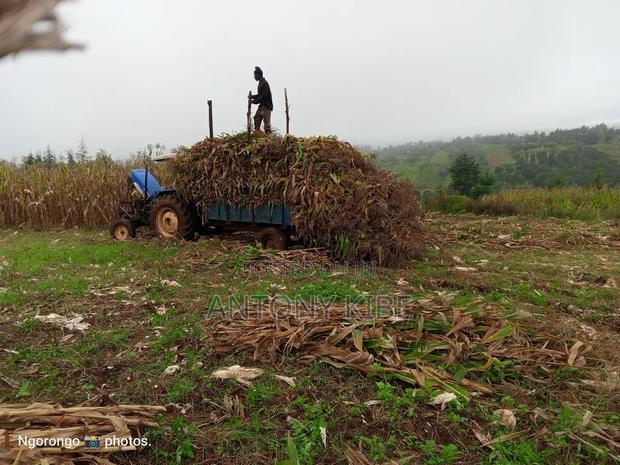 Clean Land Has House Which in Good Condition Fertil Land