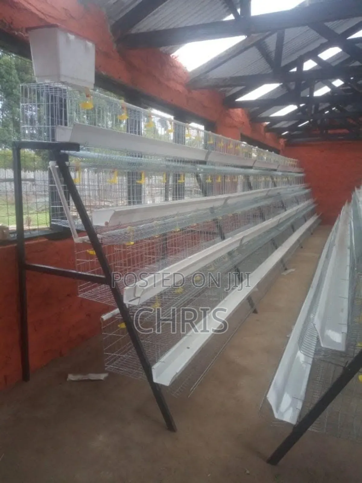 Chicken Cages