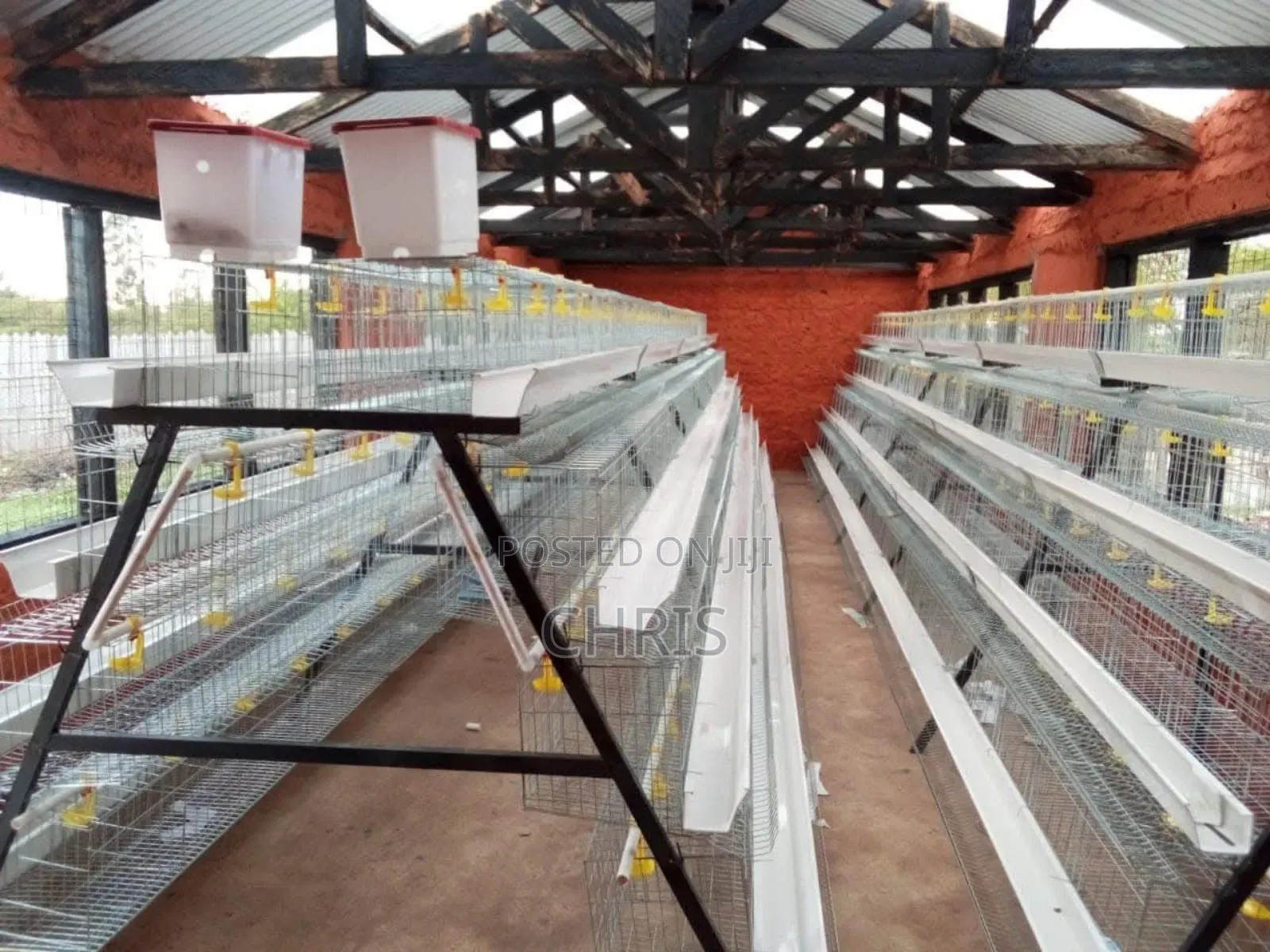 Chicken Cages