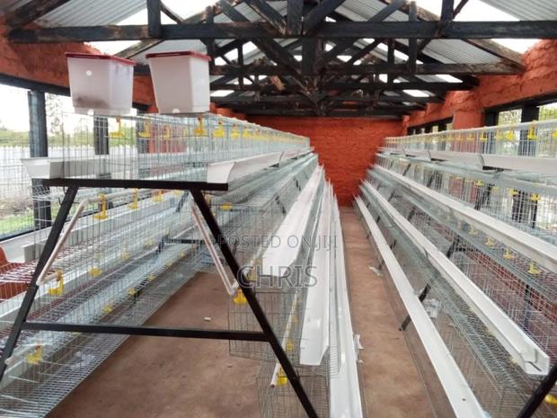 Chicken Cages - thumbnail 2