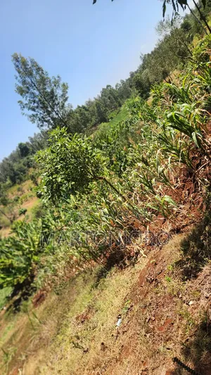2 Acres Near Makutano Ya Mwea
