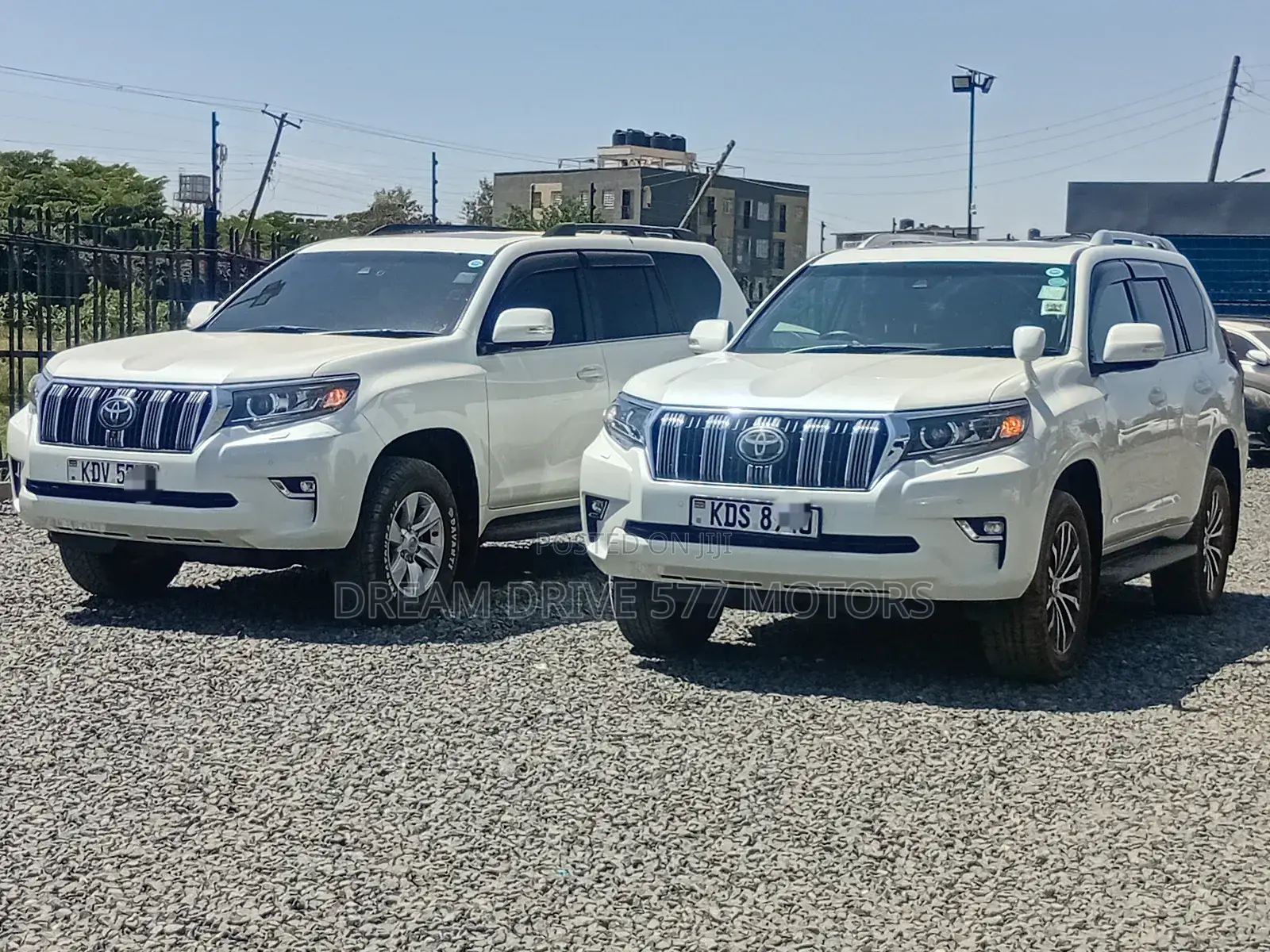 Car Rental