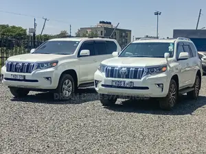 Car Rental