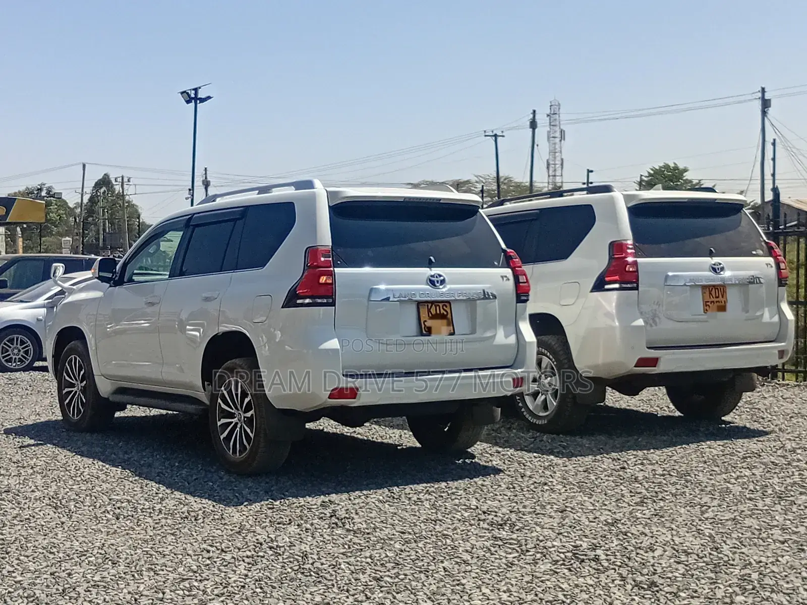 Car Rental