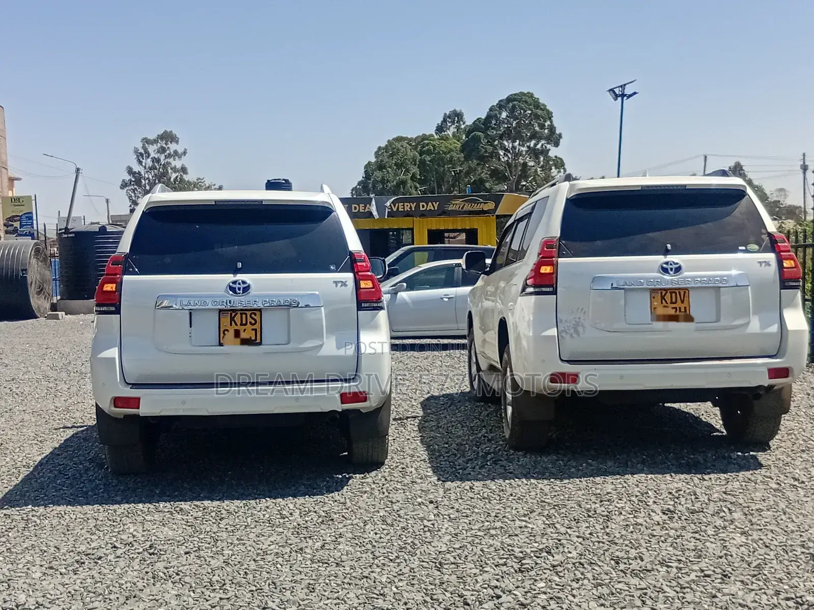Car Rental