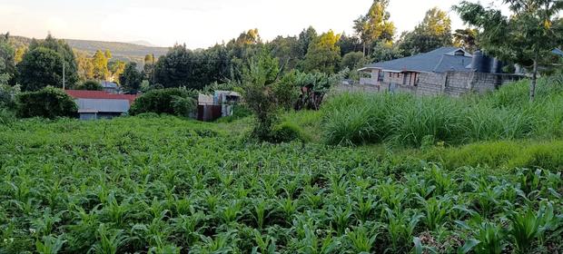 Kikuyu Prime Plots for Sale - thumbnail 3