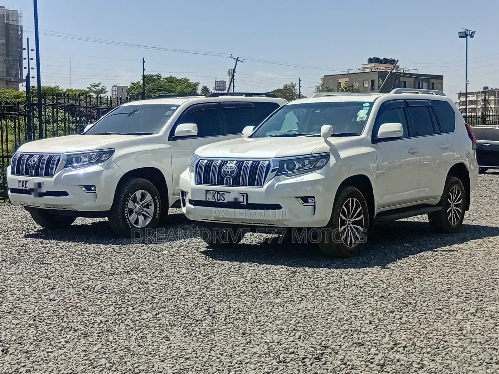 Car Rental