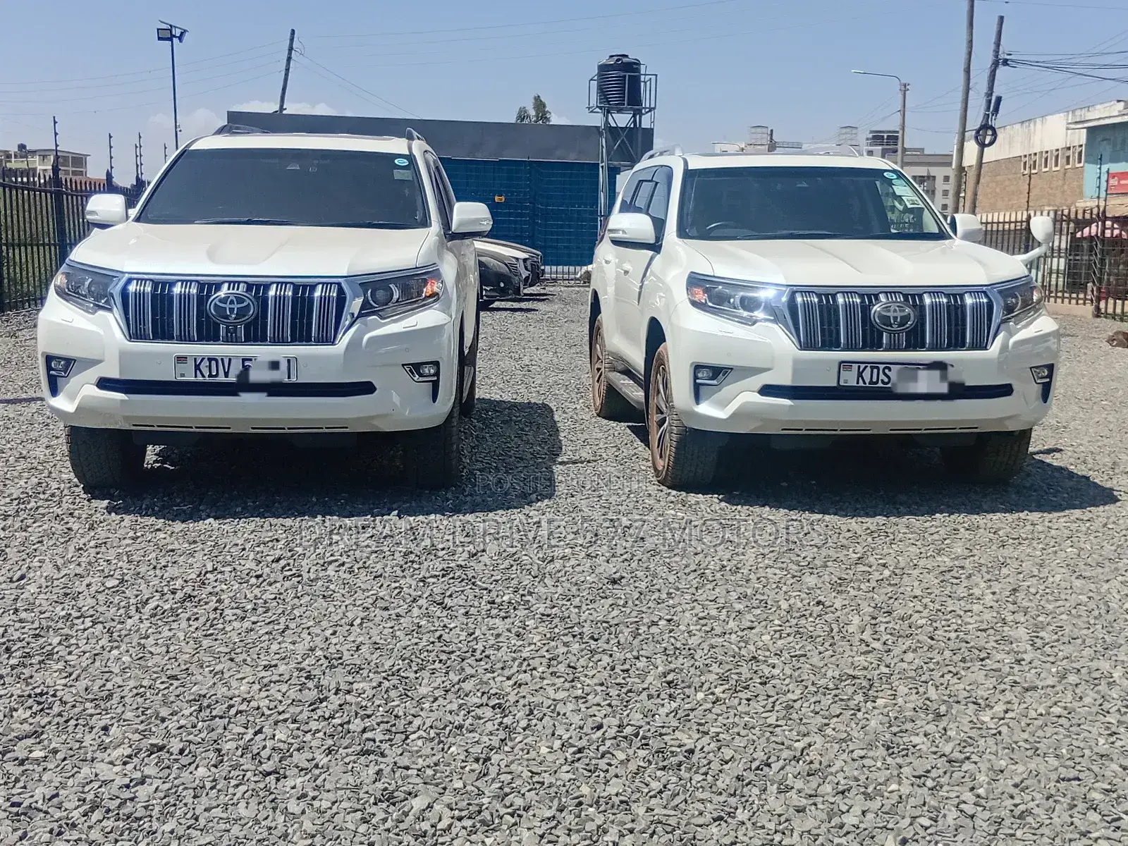 Car Rental