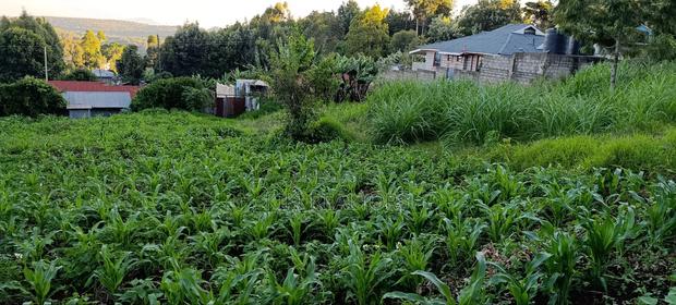 Kikuyu Prime Plots for Sale - thumbnail 4