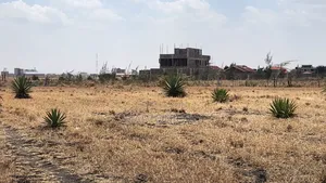 Affodable Plots Jujafarm