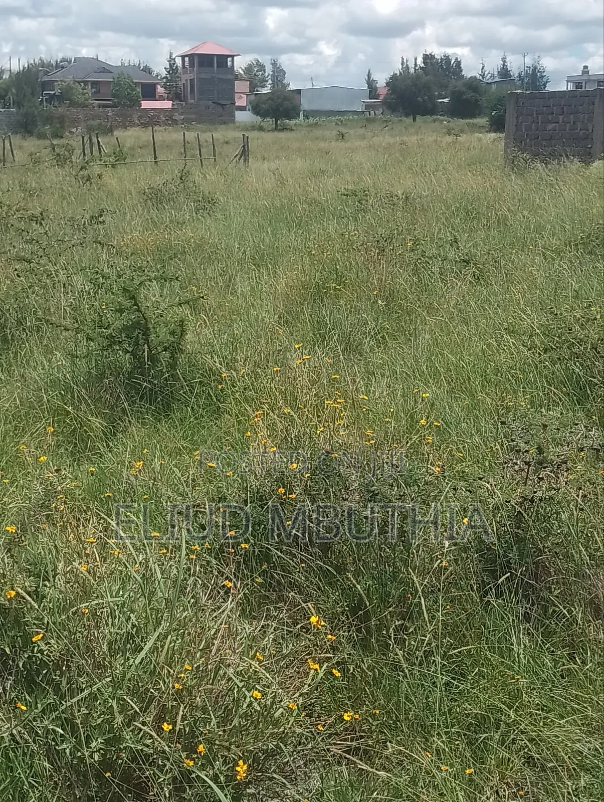 Selling 50 by 100 in Malaa 800 Meters From Tarmac