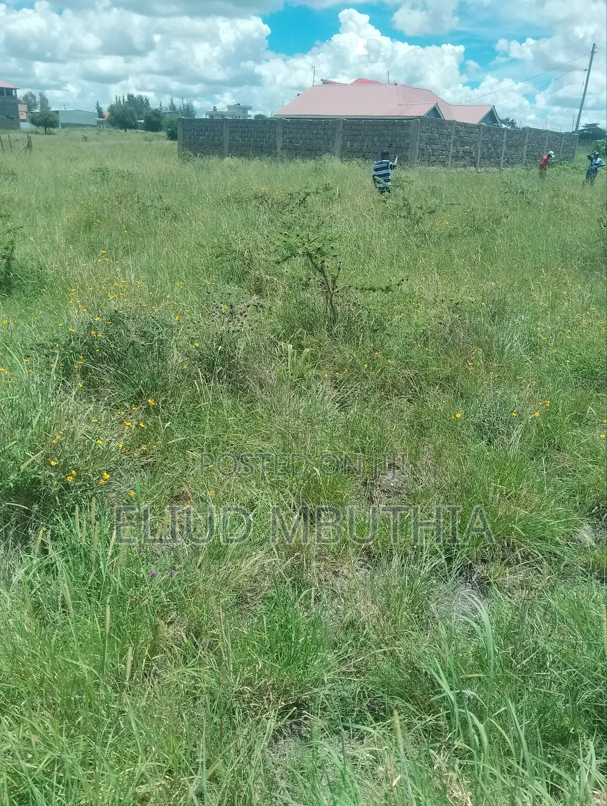 Selling 50 by 100 in Malaa 800 Meters From Tarmac