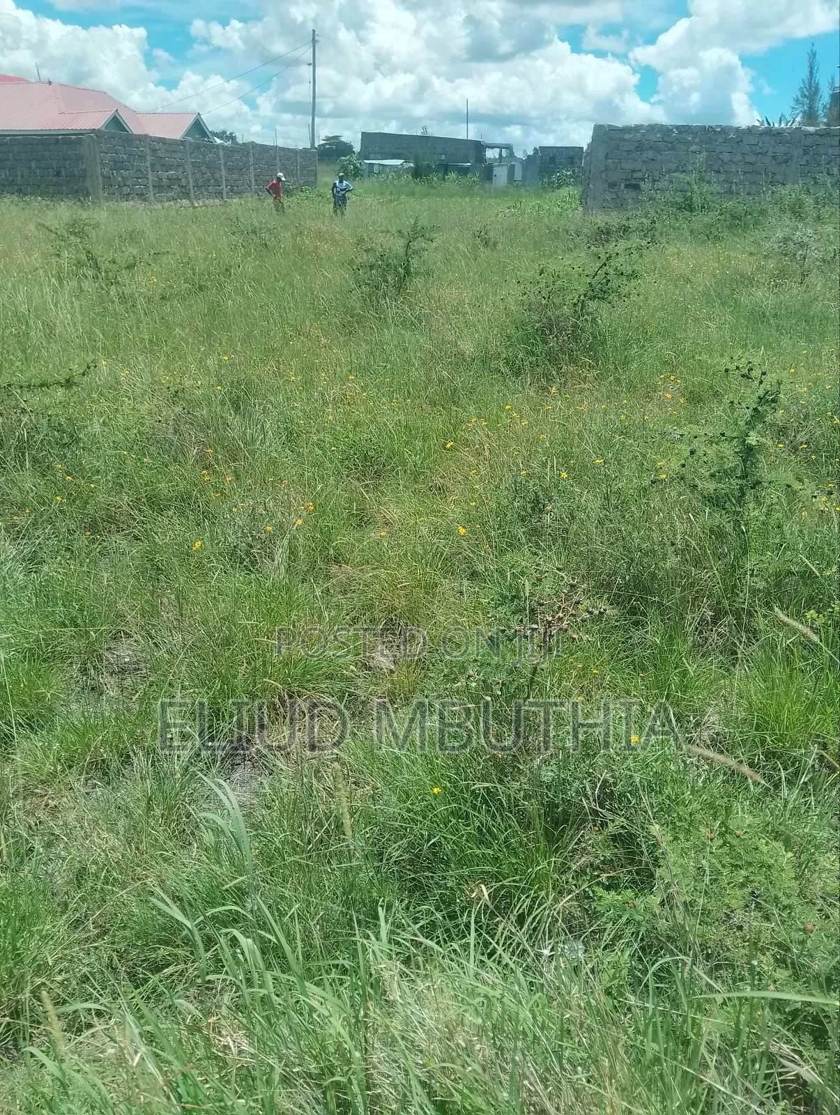 Selling 50 by 100 in Malaa 800 Meters From Tarmac