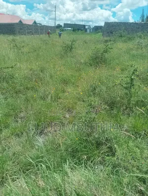 Selling 50 by 100 in Malaa 800 Meters From Tarmac