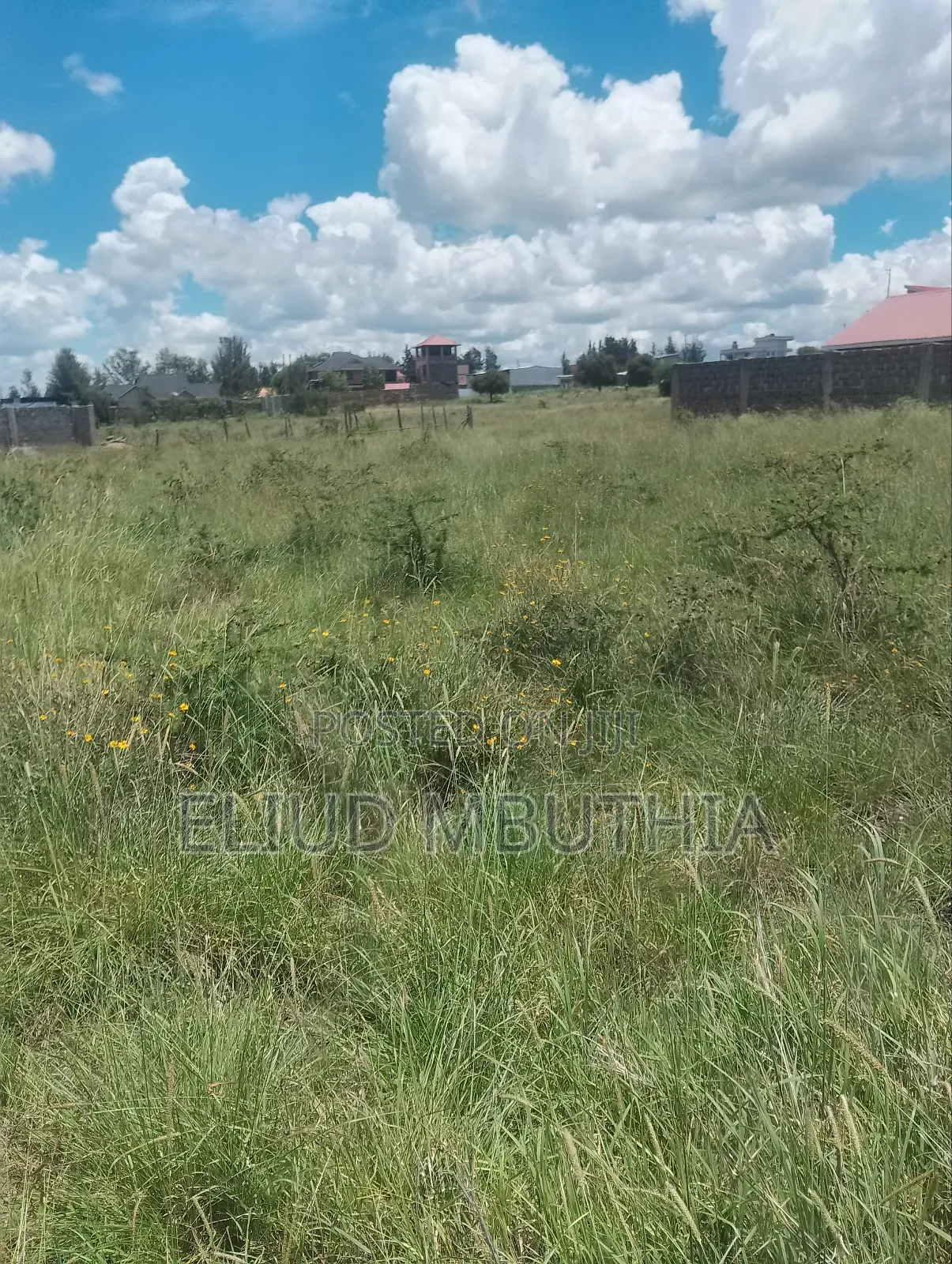 Selling 50 by 100 in Malaa 800 Meters From Tarmac